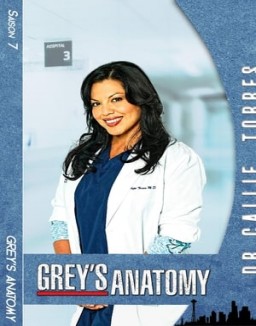 Grey's Anatomy saison 7